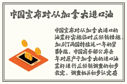 糖心vlog锅锅酱